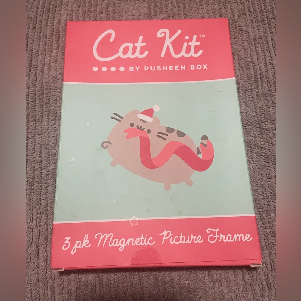 Pusheen magnetic picture frames